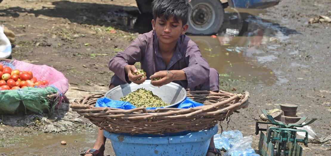 طفل يبيع الخضار في سوق بلاهور، 10 حزيران 2020