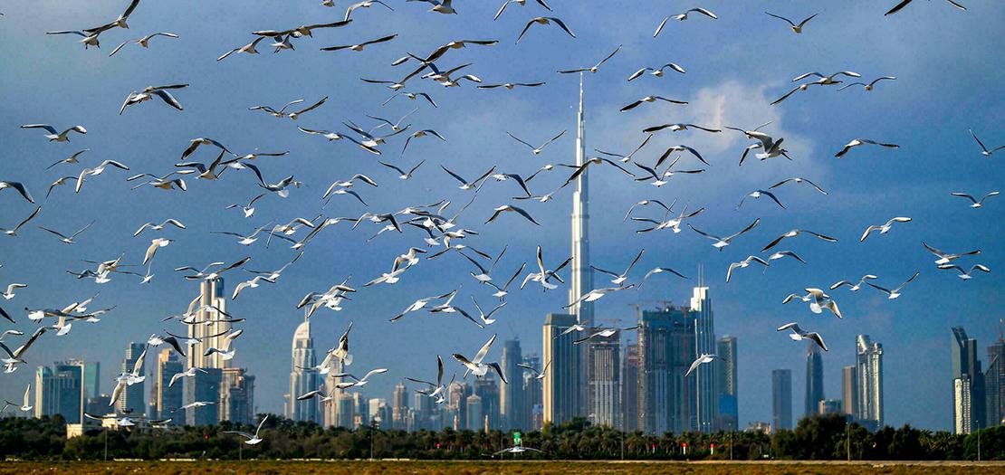 مبان في دبي في 8 كانون الثاني 2020