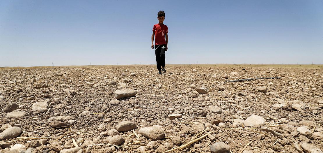 أرض زراعية  أحرقتها الشمس في منطقة السعدية شرقي العراق، وسط موجة حرارة صيفية شديدة ونقص في المياه أدى إلى جفاف الحقول ونفوق الماشية