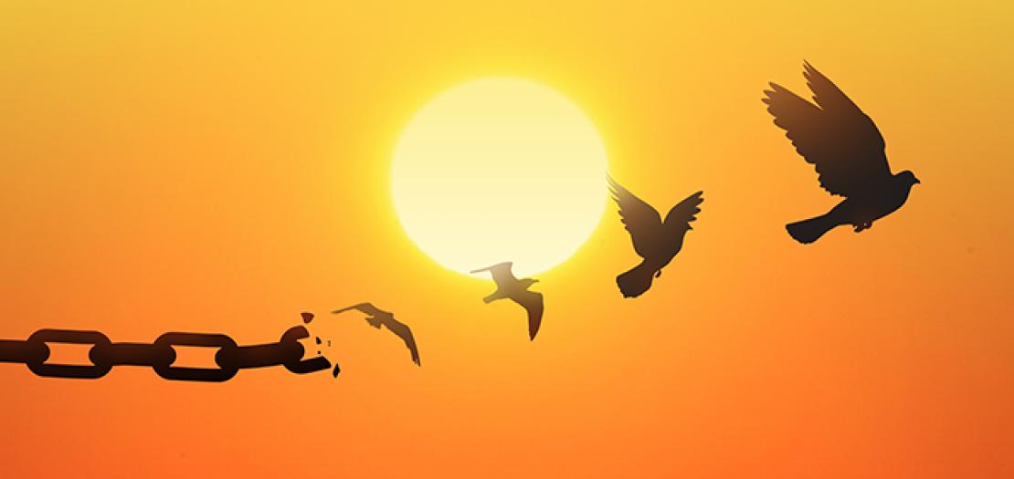 سِلسلة قِراءات كِتابيّة بين العَهدَّين (سي 27: 33- 28: 9؛ مت 18: 21- 35)