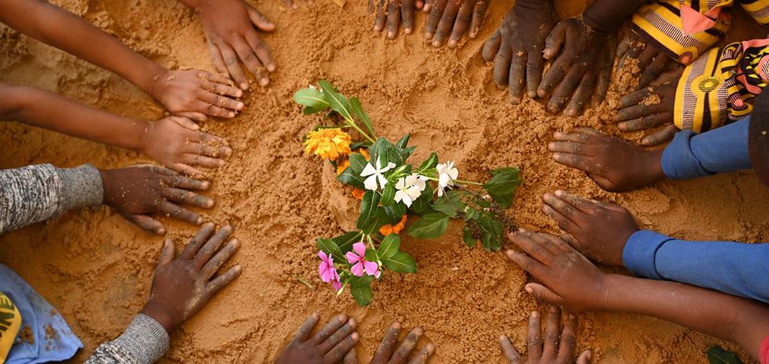 أطفال يزرعون الزهور في ملعب في نجامينا، تشاد كجزء من مشروع تعليمي.
