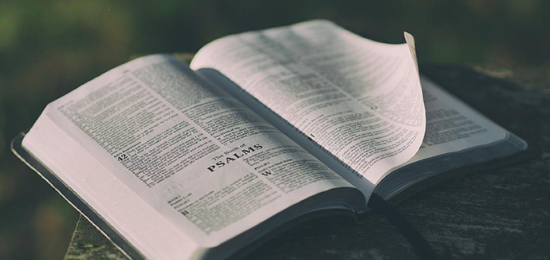 من أنت في الكتاب المقدس؟
