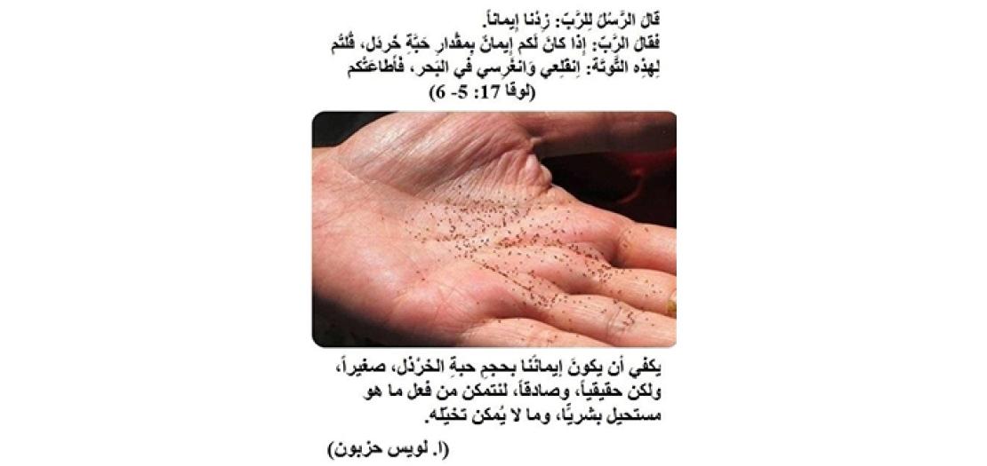 الأحَد السَّابع والعِشرون: قوَّةُ الإيمَان والتَّواضع في الخِدمة في مفهوم المسيح (لوقا 17: 5-10)