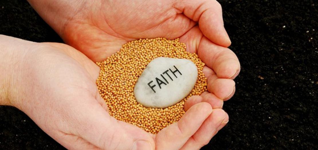 الأحد السابع والعشرون (ج)