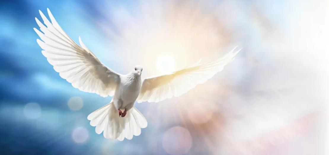 الروح والآلة: سكنى الله في عصر الرقمنة