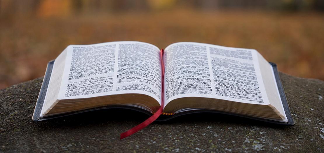 أربع نظريات حول كيفية كتابة الكتاب المقدس ومن كتبه (ولماذا هذا مهم؟)